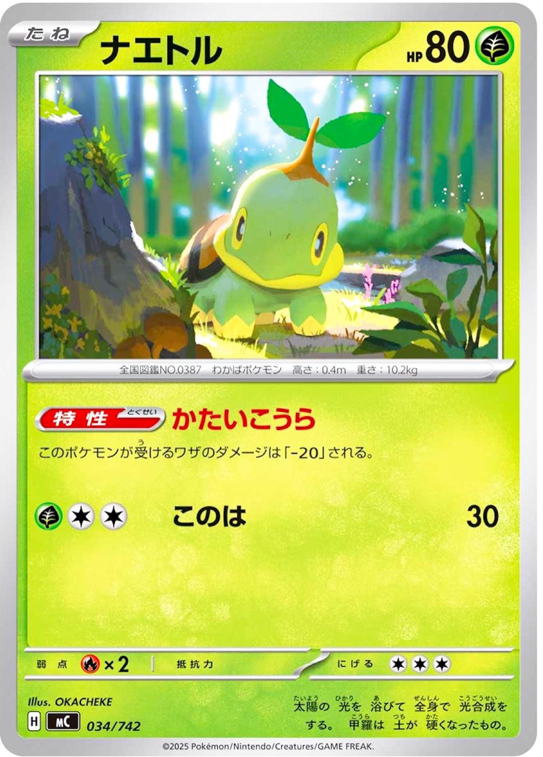 Turtwig